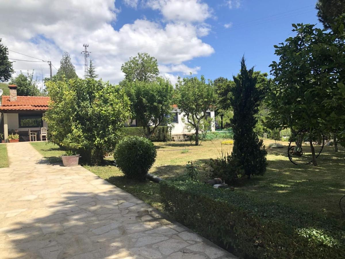 Casas Viriatus - Turismo Rural Paredes de Coura Exterior photo